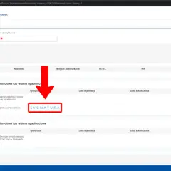 Jak sprawdzić upadłość osoby fizycznej? Kluczowe informacje i źródła