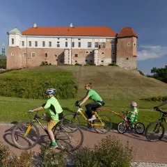 Rodzina na rowerach odkrywa sandomierskie trasy rowerowe z widokiem na zamek.