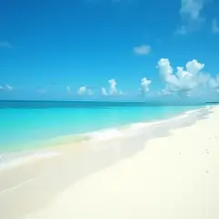 Piękna plaża z turkusową wodą i palmami. Idealne miejsce, kiedy jest sezon na Dominikanie.