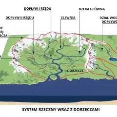 Schemat systemu rzecznego. Widać początek rzeki, jej dopływy, zlewnie i dorzecza.