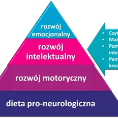 Piramida rozwoju: dieta, ruch, rozwój motoryczny, intelektualny i emocjonalny. To wszystko buduje co to jest wartość człowieka.