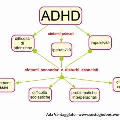 Schema ADHD: iperattività, difficoltà di attenzione, impulsività, comportamenti aggressivi, scolastici, emotivi e interpersonali. Un bambino iperattivo si guarisce con la giusta comprensione.