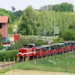 Czerwony pociąg z wagonami turystycznymi jedzie przez zielone tereny. W tle budynek i drzewa. To świetne pałuki atrakcje dla całej rodziny.