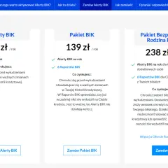 Raport BIK: Czy warto? Sprawdź, czy to inwestycja dla Ciebie