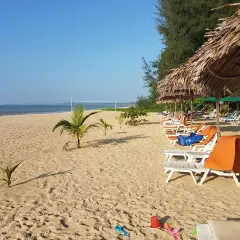 Solig strand på Koh Kho Khao med solstolar, parasoller och en volleybollplan.