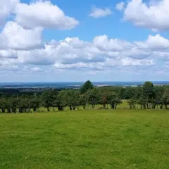 Zielona łąka i las na tle błękitnego nieba z chmurami. Rozległy krajobraz, który przypomina malownicze wzgórza dylewskie.