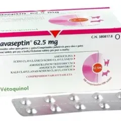 Clavaseptin dla psa: Skuteczny antybiotyk? Dawkowanie i co musisz wiedzieć
