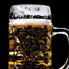 Chłodne piwo Żubr w kuflu, z bąbelkami i pianką. Ile procent alkoholu ma piwo Żubr?