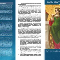 Święta Barbara w zielonej sukni z koroną na głowie, trzymająca kielich i miecz.