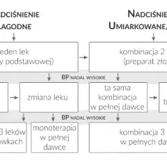 Leki na nadciśnienie: Kiedy poczujesz ulgę? Pełny efekt terapii