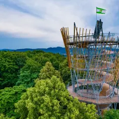 Widokowa wieża w Szczawnie-Zdroju wznosi się ponad zielonym lasem, oferując zapierającą dech w piersiach panoramę.