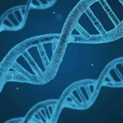 Błękitne helisy DNA, symbol życia i innowacji, jakby stworzone przez synektik sa, unoszą się w przestrzeni.