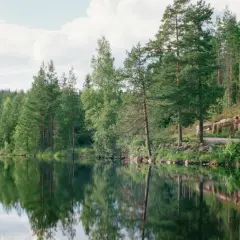 Spegelblank sjö med skog och en liten stuga vid stranden, kanske en del av Malingsbo herrgård.