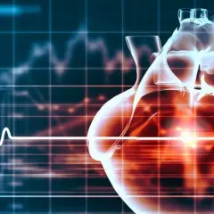 Przezroczyste serce na tle wykresu EKG, symbolizujące działanie leków takich jak digoxin, które regulują rytm serca.