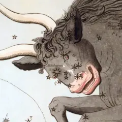 Ilustracja przedstawia byka gwiazdozbiór z zaznaczonymi gwiazdami i nazwami, w tym Aldebaran i Plejady.