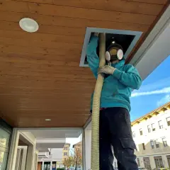 Operaio con maschera e guanti inserisce tubo in un'apertura del controsoffitto isolante termico in legno.