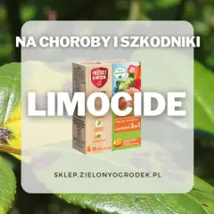 Na choroby i szkodniki roślin ozdobnych, owoców i warzyw. Sprawdź limocide dawkowanie na stronie sklepu.