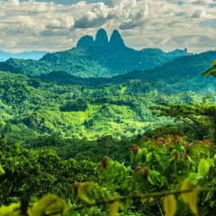 Borneo: Atrakcje, Przyroda i Planowanie Podróży - Twój Przewodnik