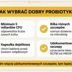 Wybierasz probiotyk dla dorosłych? Zwróć uwagę na minimum 5 mld CFU, kapsułkę dojelitową, kilka szczepów i udokumentowane szczepy.