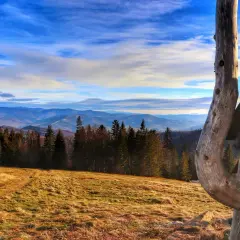 Górski krajobraz z lasem, polaną i drewnianą konstrukcją na pierwszym planie.