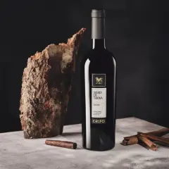 Bottiglia di vino nero di troia, con corteccia, sigaro e cannella su un tavolo di cemento.