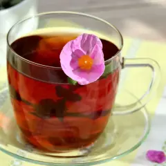 Ein Glas Cistus Tee mit einer rosa Blüte. Ideal für alle, die auf natürliche Weise abnehmen möchten.