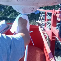 Ile to kg metr zboża? Zaskakujące różnice w wadze zboża