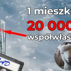 Rafał Zaorski: geniusz czy bankrutujący Midas? Epicki flip to błysk kapitalizmu lub gruba operacja strzyżenia owiec [ANALIZA]