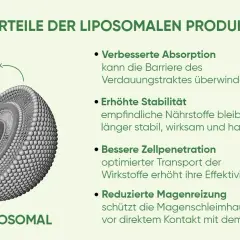 Liposomales Vitamin C: Höhere Bioverfügbarkeit für Ihre Gesundheit