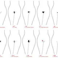 Linia bikini: Gdzie jest i jak wybrać idealną depilację?