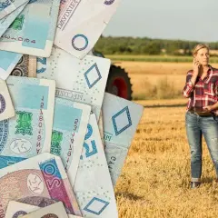Pieniądze i młoda rolniczka na polu. Czy to premia dla młodego rolnika?
