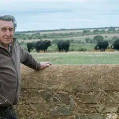 Fernando Cuadri, a man of considerable edad, oversees his herd of black bulls in a pastoral landscape.