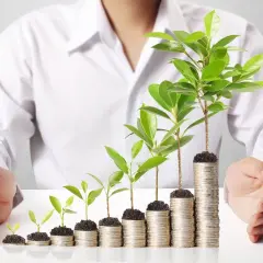 Oszczędności rosną jak drzewka na stosach monet. Dowiedz się, jak przelać pieniądze z konta oszczędnościowego na zwykłe, by Twoje finanse kwitły.