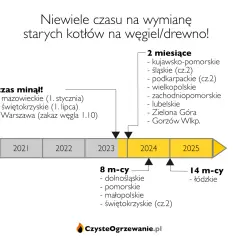 Korek LPG: Gdzie kupić, jak dobrać i uniknąć mandatu?