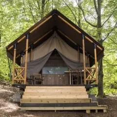 En lyxig tältstuga på Karlsvik Camping, omgiven av grönskande träd.