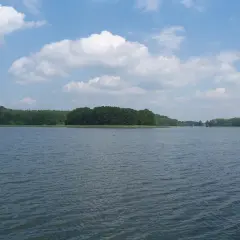 Spokojne jezioro z zielonymi lasami na horyzoncie i białymi chmurami na niebieskim niebie.