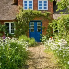 Ein Weg aus Kieselsteinen führt zu einem roten Backsteinhaus mit Reetdach und blauer Tür. Üppige Blumenbeete mit Margeriten und grünen Pflanzen inspirieren zu **vorgarten ideen**.