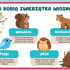 Ilustracja przedstawia zwierzęta budzące się wiosną: wiewiórkę, niedźwiedzia, ptaki i jeża.