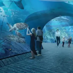 Rodzina podziwia rekiny i żółwie w podwodnym tunelu. Sprawdź oceanarium Gdańsk cennik i zaplanuj wizytę!
