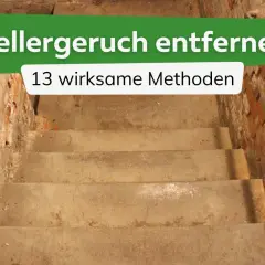 Treppe in einen alten Keller mit Ziegelwänden. Text: "Kellergeruch entfernen - 13 wirksame Methoden". So wird man den Geruch im Keller neutralisieren.