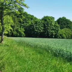Ustronie Morskie trasy rowerowe mapa – odkryj najlepsze szlaki