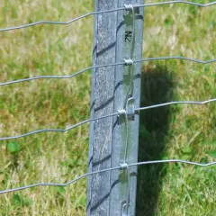 Szczegółowe mocowanie siatki ogrodzeniowej do słupka, druty zabezpieczone obejmami.