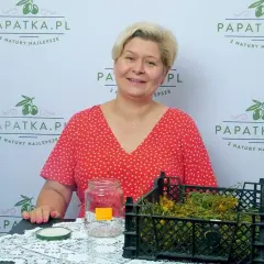 Jak zrobić olejek z dziurawca - krok po kroku i ważne wskazówki