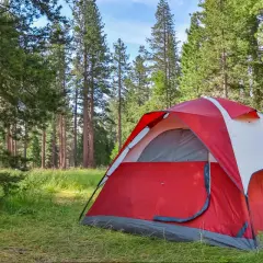 Gdzie pod namiot opolskie? Odkryj najlepsze miejsca na camping