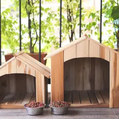 Jak zbudować domek dla psa DIY - proste kroki i materiały