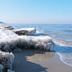 Lodowe sople zwisają z zamarzniętych kęp śniegu na plaży, gdy fale Bałtyku delikatnie obmywają brzeg. To widok z roku, kiedy zamarzł bałtyk rok.
