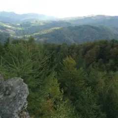 Widok z dwernik kamień na zalesione wzgórza.