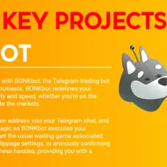 BONK Bot to bot do handlu na Telegramie dla entuzjastów Solana. Ułatwia transakcje kryptowalutowe, odpowiadając na pytanie: co to jest kryptowaluta bonk.