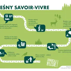 Poradnik "Leśny savoir-vivre" pokazuje zasady zachowania w lesie, w tym jak przygotować się na nocowanie w lesie.