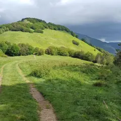 Sentiero erboso che sale verso il verdeggiante passo del Cerreto, con alberi e nuvole scure all'orizzonte.